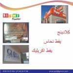 صورة 3 - مؤسسة النمر الفضى