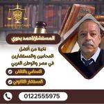 صورة 2 - مكتب المستشار احمد بدوى