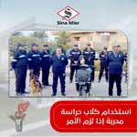 صورة 1 - سينا مصر للأمن والحراسة