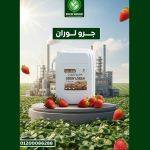 صورة 1 - ريتش جرو