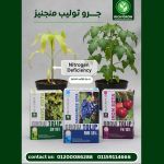 صورة 2 - ريتش جرو