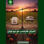 صورة 3 - ريتش جرو