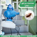صورة 1 - ايجي الالمانية