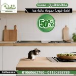 صورة 2 - ايجي الالمانية