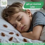 صورة 4 - ايجي الالمانية