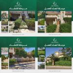 صورة 2 - اجرى بلانتس للتنمية الزراعية