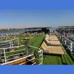 صورة 3 - دريم وود لاستيراد وتصنيع الاخشاب